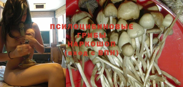 мяу мяу кристалл Дмитров