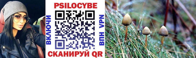 Галлюциногенные грибы GOLDEN TEACHER  Дмитриев 
